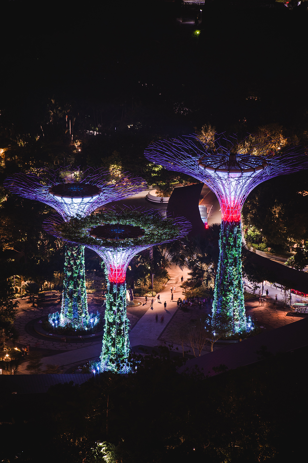 Potovanje_v_Singapur_-_Travel_to_Singapore_-_Photo_by_Kevin_from_Pexels.jpg