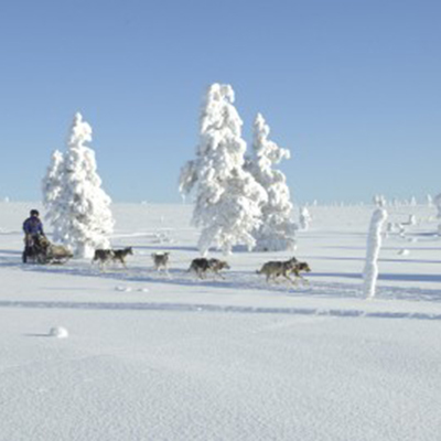 FI-Lapland-Ivalo_GuesthouseHusky_2F44E.jpg