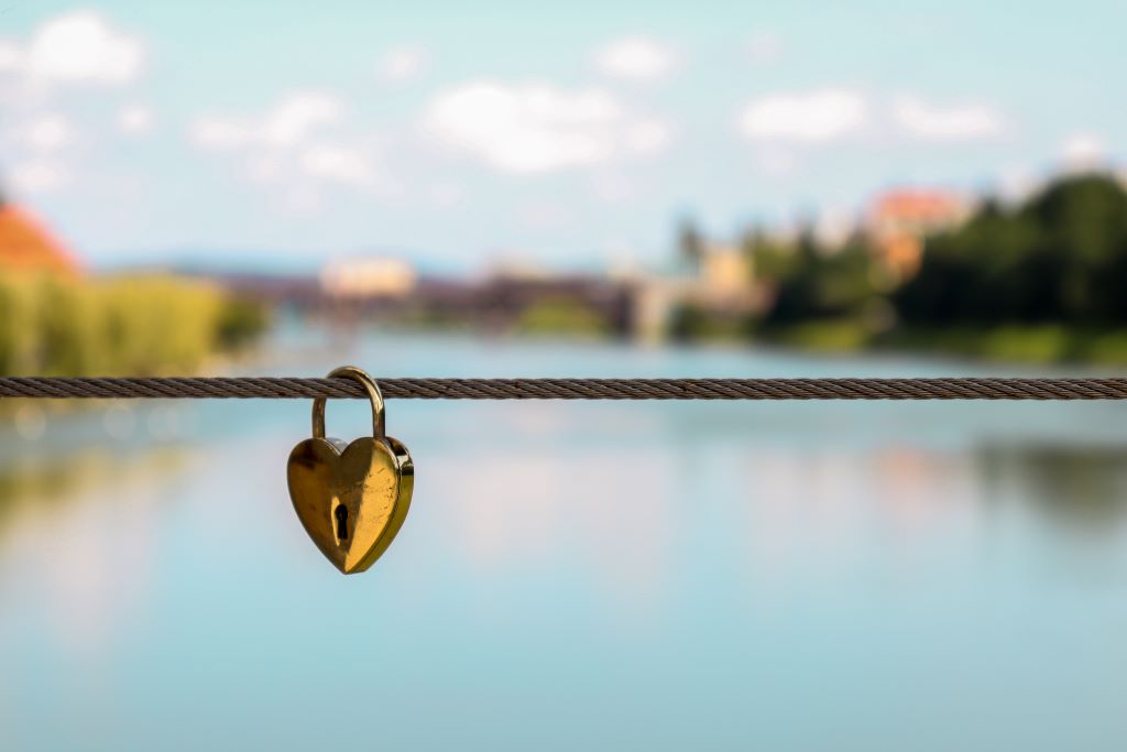 Photo_by_Miha_Arh_on_Unsplash.jpg