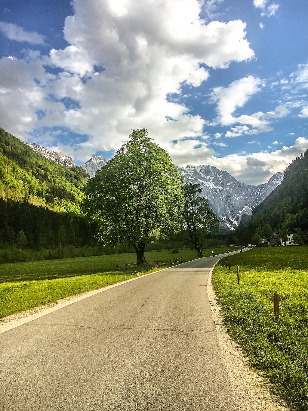 Izlet_v_Logarsko_Dolino_-_Trip_to_Logarska_Dolina_-_Photo_by_Mr-_Sobau_on_Unsplash.jpg