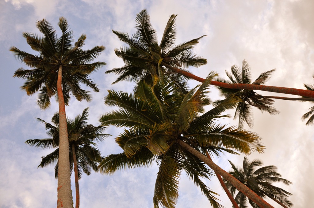 Potovanje_na_Fidzi_-_Travel_to_Fiji_10.jpg