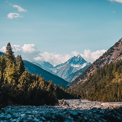 Swiss_National_Park_-_Photo_by_Janis_Wolf_on_Unsplash_-_400x400.jpg