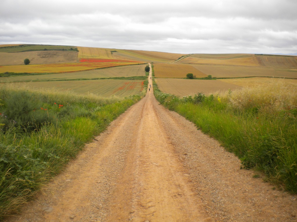 Camino_de_Santiago_4.JPG