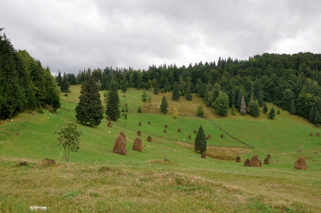 Romunija_-_Mateja_Mazgan_4.jpg
