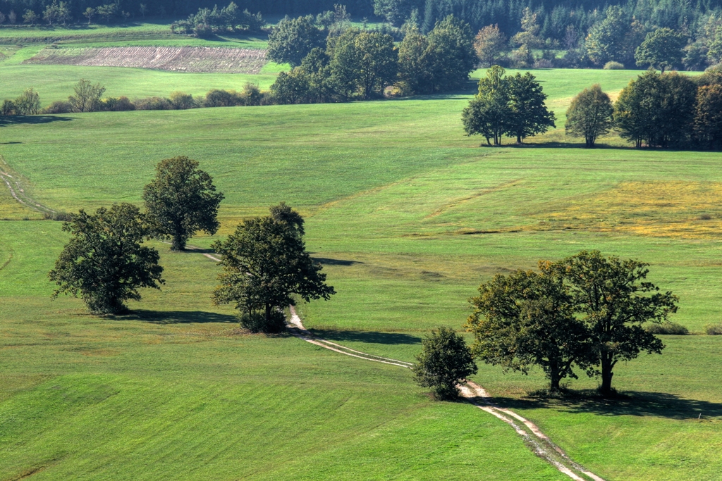Planinsko_polje_Author_-_Tomaz_Penko_www.slovenia.info.jpg