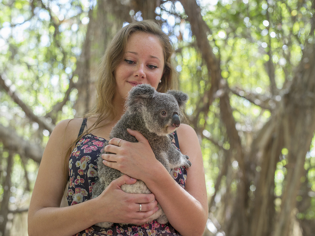 Magnetic_Island_YHA_-_Breakfast_with_the_Koalas_91.jpg