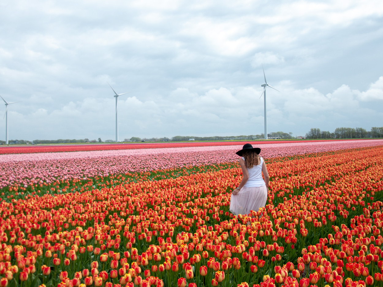 globetrotter_holland_11_of_13.jpg