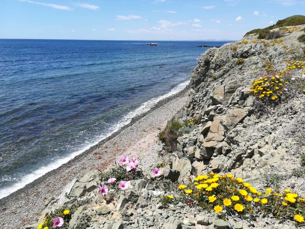 Hi_Connect_program_-_Simona_Petric_5.jpg
