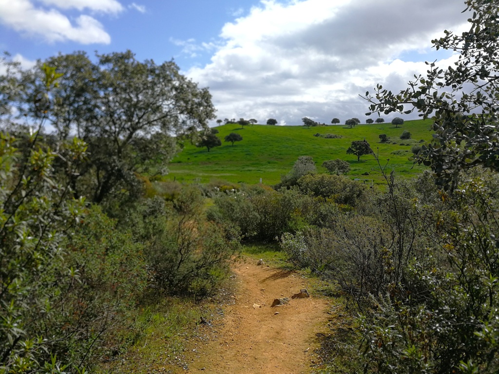 Romarska_pot_Camino_12.jpg