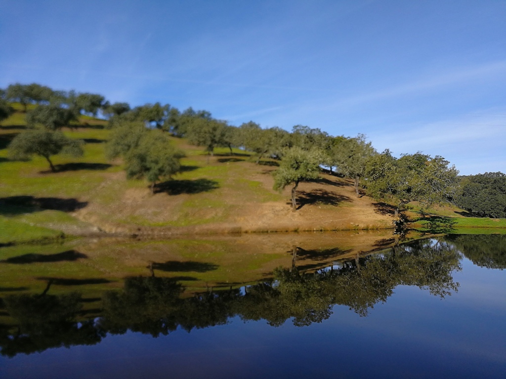 Romarska_pot_Camino_15.jpg