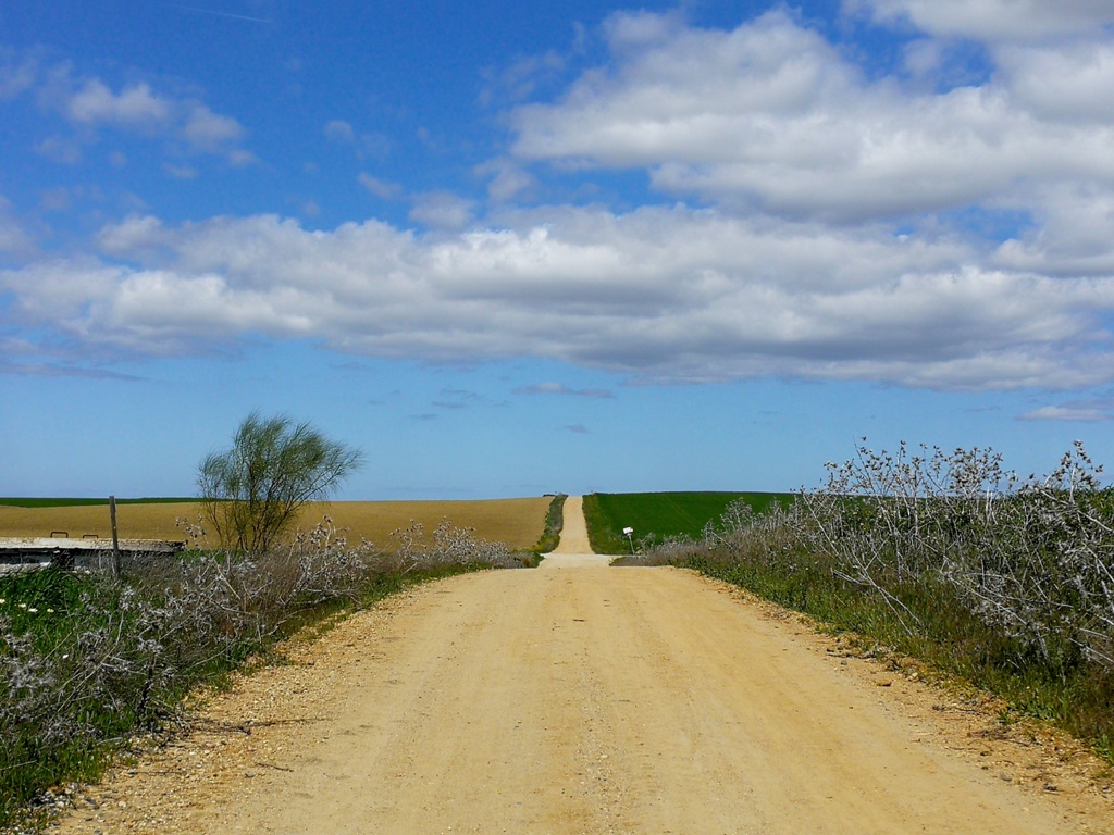 Romarska_pot_Camino_19.jpg