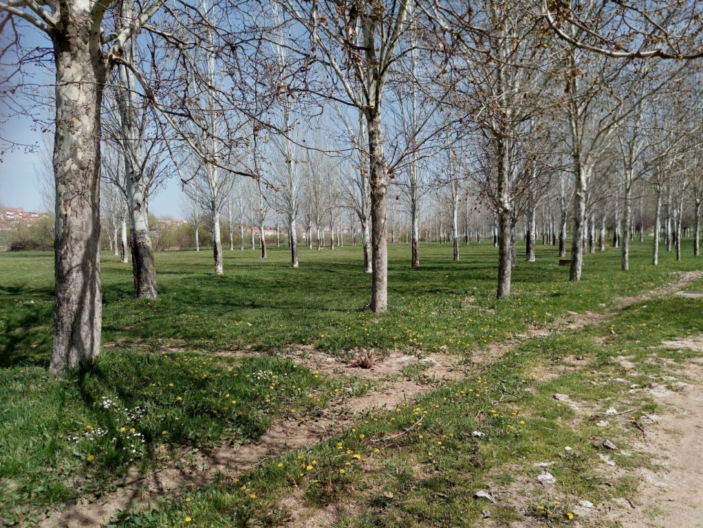 Pestra_pokrajina_na_poti_do_Fuenteroble_de_Salvatierra.jpg