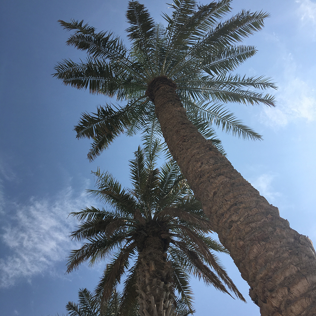 Ana_Zekar_-_HI_Connect_program_12.jpeg
