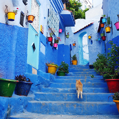 Travel_to_Morocco_Potovanje_v_Maroko_-_400x400.JPG