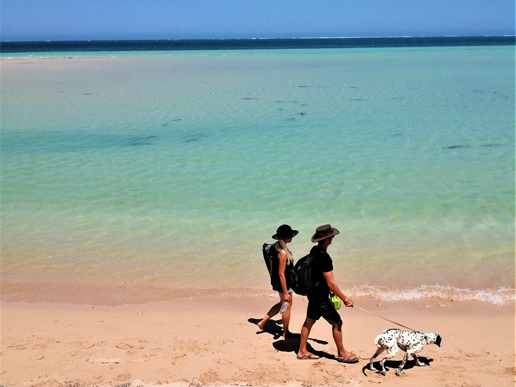 Coral_bay_beaches1_-_shark_nursery.jpg
