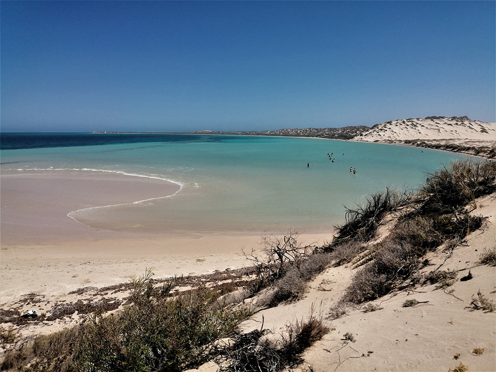 Coral_bay_beaches_-Shark_nursery.jpg