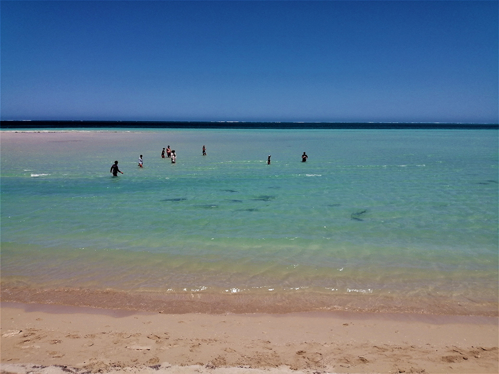 People_gathering_trying_to_take_a_photo_in_Coral_bay_shark_nursery_.jpg