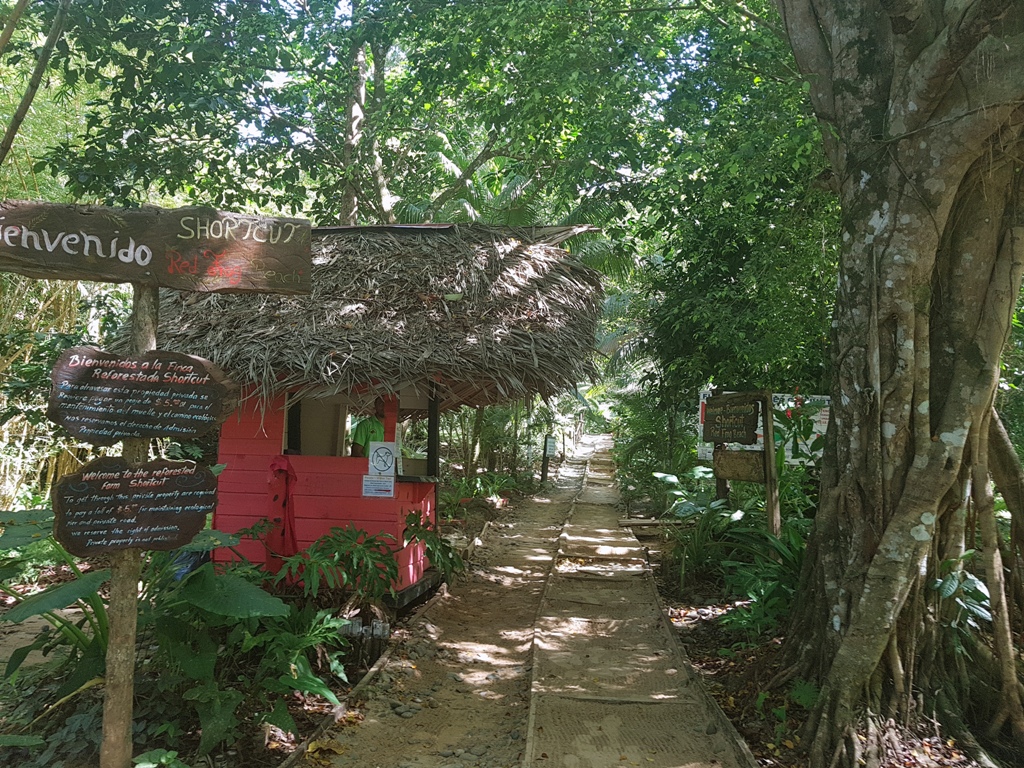 Potovanje_na_Bocas_del_Toro_-_Travel_to_Bocas_del_Toro_3.jpg