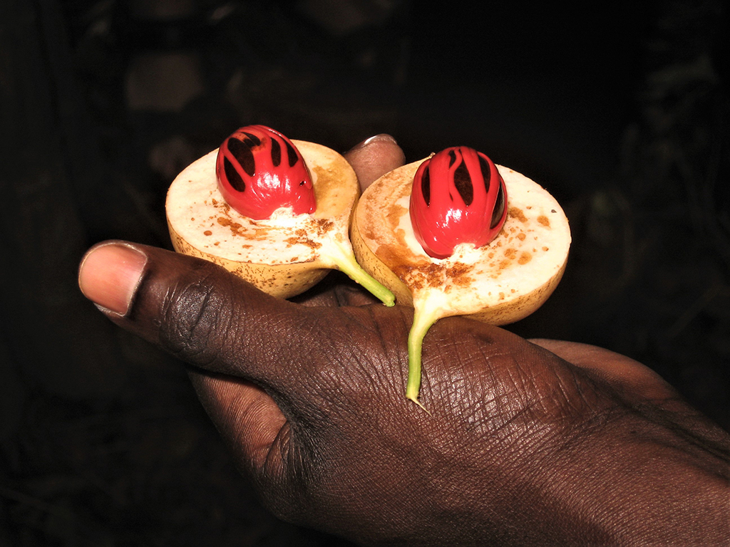 Potovanje_na_Zanzibar_-_Travel_to_Zanzibar_4.jpg