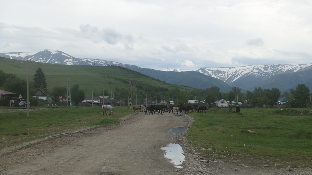 Potovanje_v_Kazahstan_-_Travel_to_Kazakhstan_27.JPG
