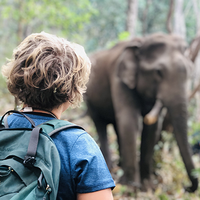 Resevanje_slonov_na_Tajskem_-_Rescue_elephants_in_Thailand_400x400.jpg