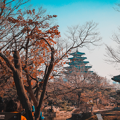 Photo_by_Louie_Nicolo_Nimor_on_Unsplash_-_400x400.jpg