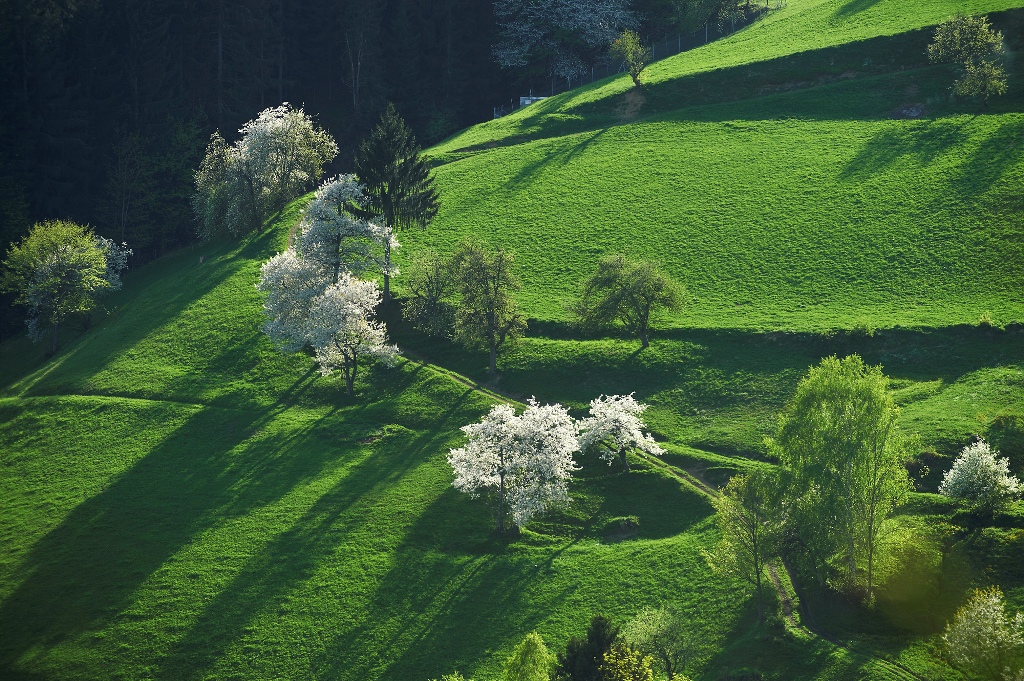 At_Strojna_Koroska_-_Photographer_-_Tomo_Jesenicnik_-_Source_-_www-slovenia-info.jpg