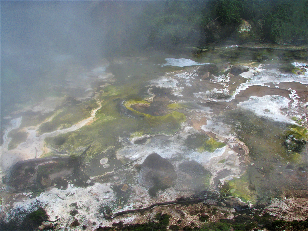 Potovanje_po_Novi_Zelandiji_-_A_trip_to_New_Zealand_23.jpg