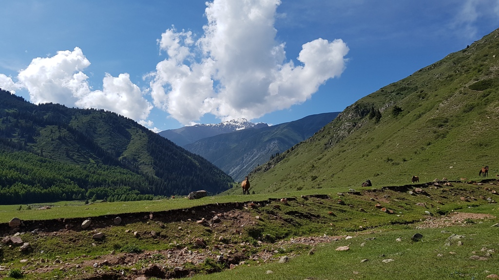 Nasveti_za_potovanje_v_Kirgizijo_-_Tips_for_traveling_to_Kyrgyzstan_6.jpg