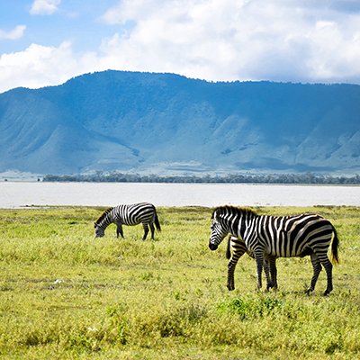 Popotniski_nasveti_za_Tanzanijo_-_Travel_tips_for_Tanzania_400x400.JPG