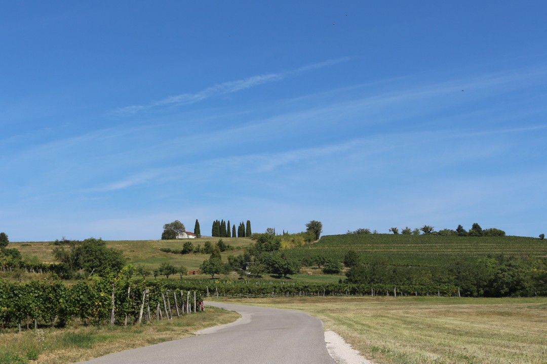 Izlet_v_Vipavsko_dolino_-_Excursion_to_the_Vipava_Valley_1.JPG