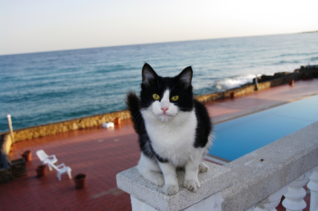 Popotniski_nasveti_za_izlet_na_Ciper_-_Travel_tips_for_a_trip_to_Cyprus_8.JPG