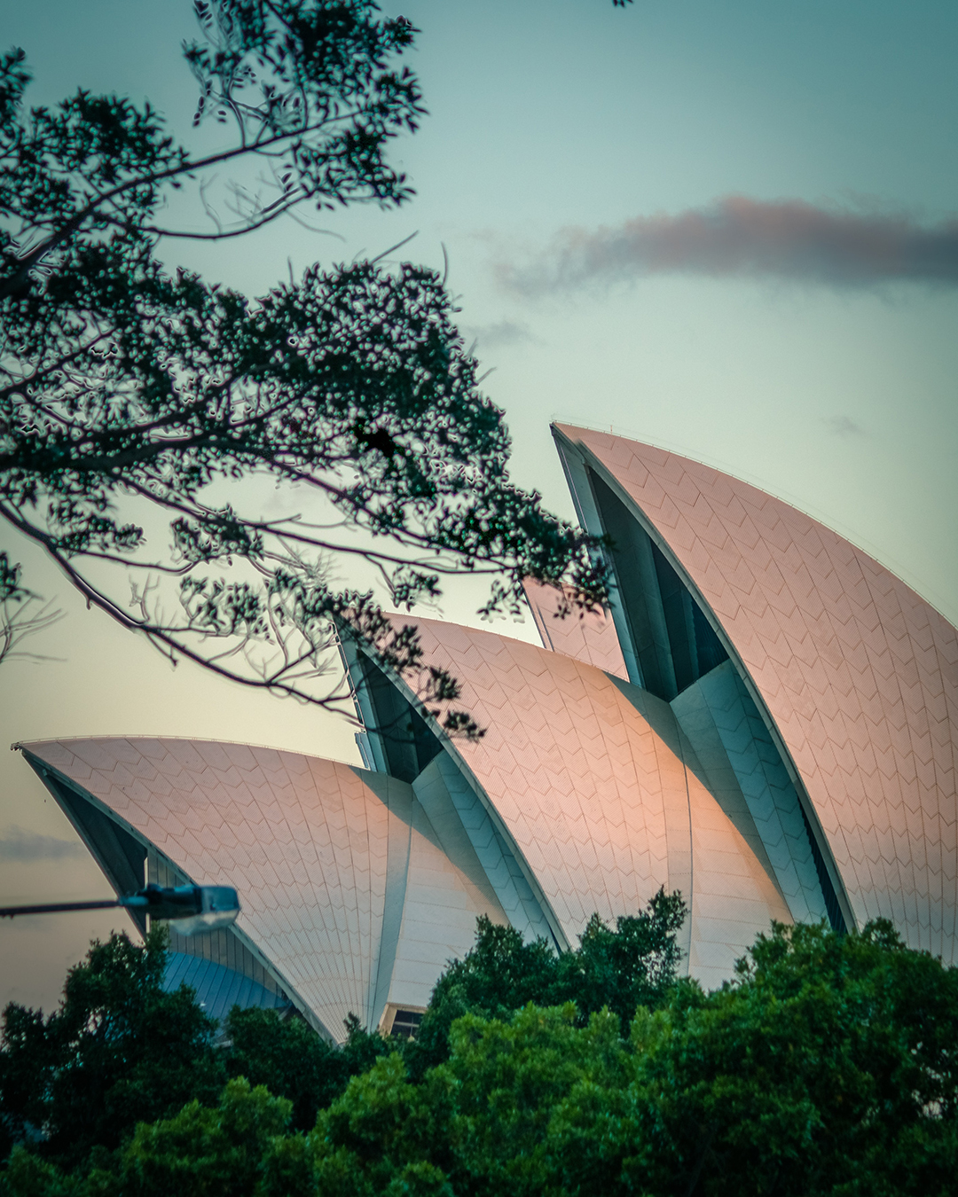 03_Photo_by_Mudassir_Ali_on_Pexels_-_Potovanje_po_Avstraliji_-_Travelling_around_Australia.jpg