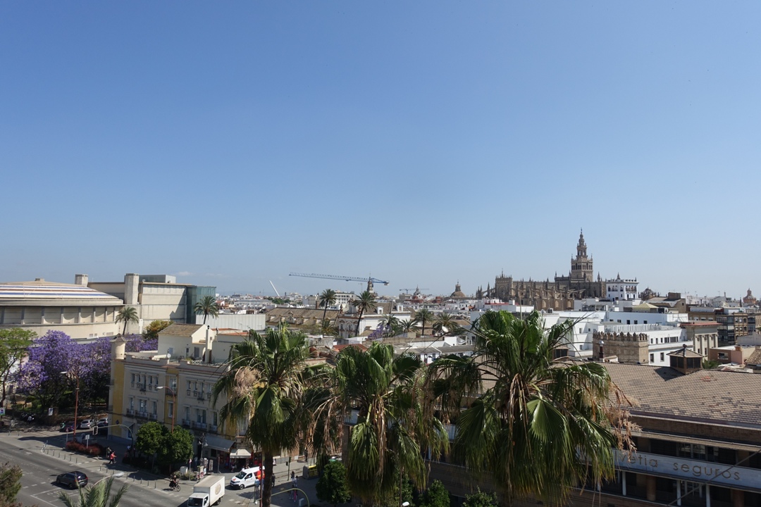 Izlet_v_mesto_Seville_-_Trip_to_the_city_of_Seville_13.JPG