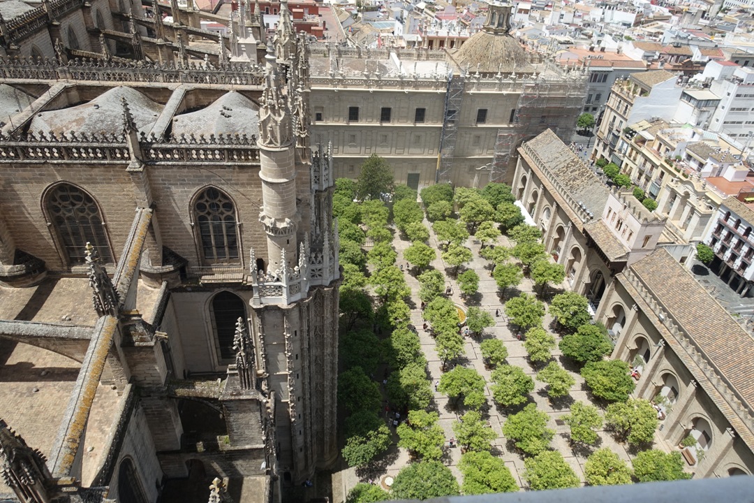 Izlet_v_mesto_Seville_-_Trip_to_the_city_of_Seville_5.JPG