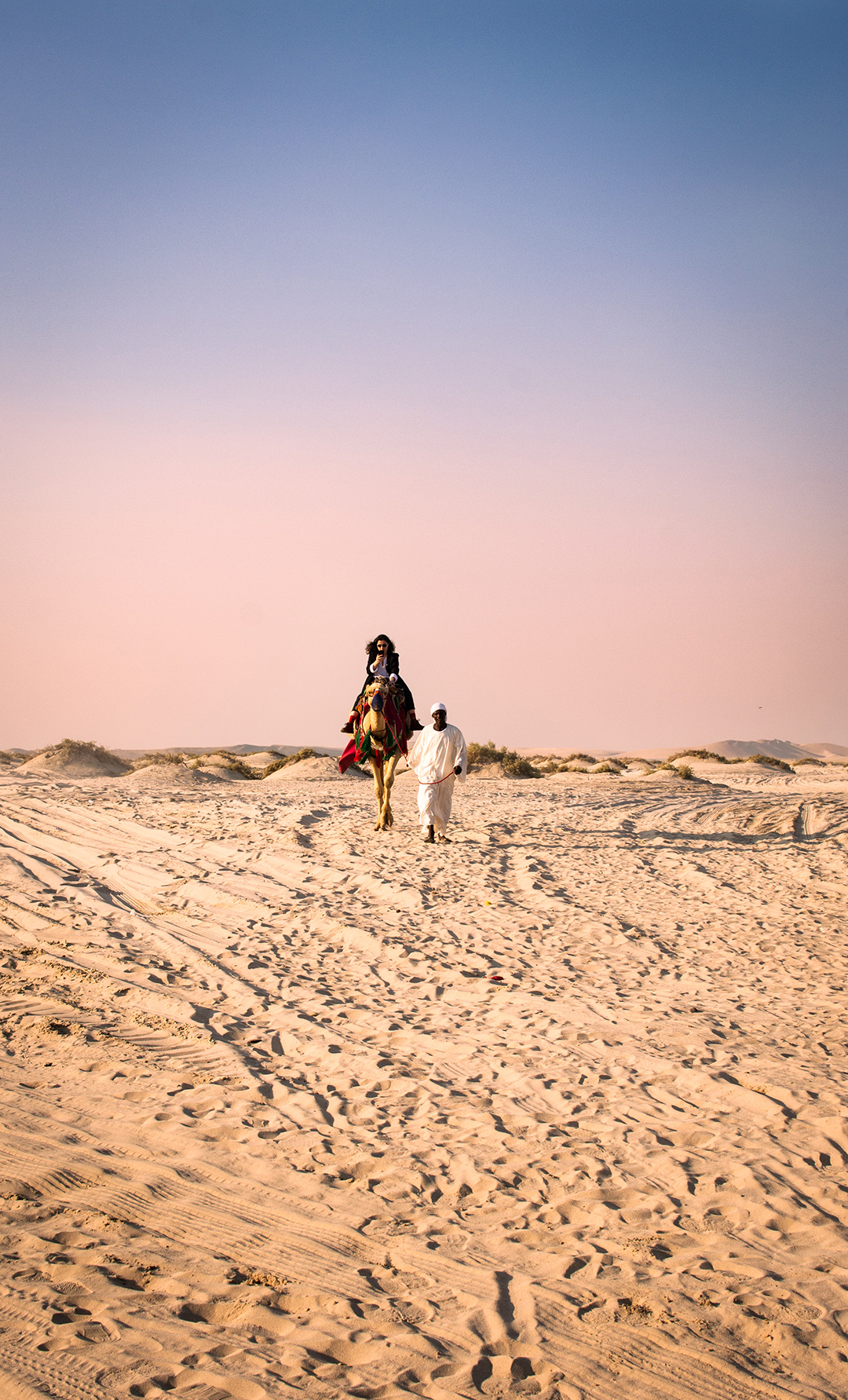 04_Znamenitosti_Dohe_-_Attractions_of_Doha_-_Photo_by_Shashi_Ghosh_on_Unsplash_-_Doha_desert.jpg