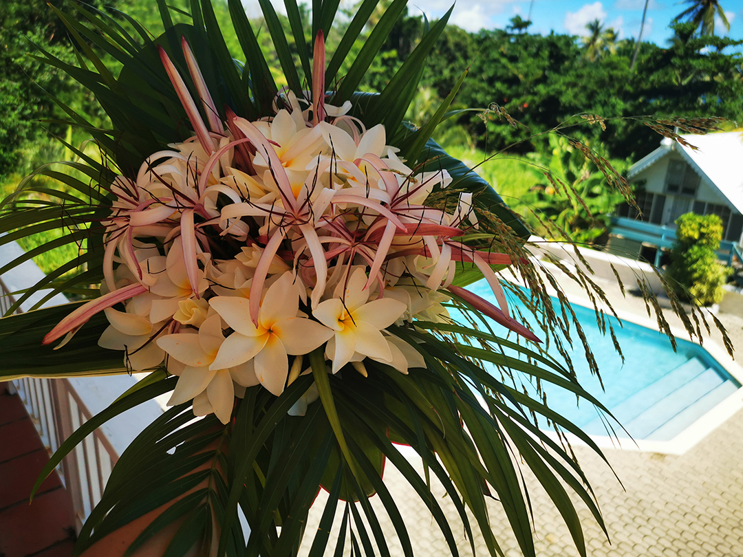 Potovanje_v_drzavo_Trinidad_in_Tobago_-_Travel_to_the_country_of_Trinidad_and_Tobago_1.jpg