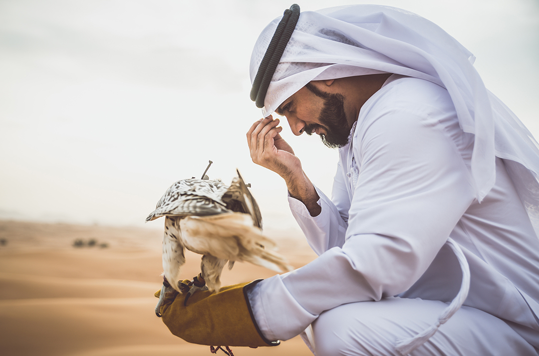 01_Znamenitosti_Katarja_-_Sights_of_Qatar_-_Envato.jpg