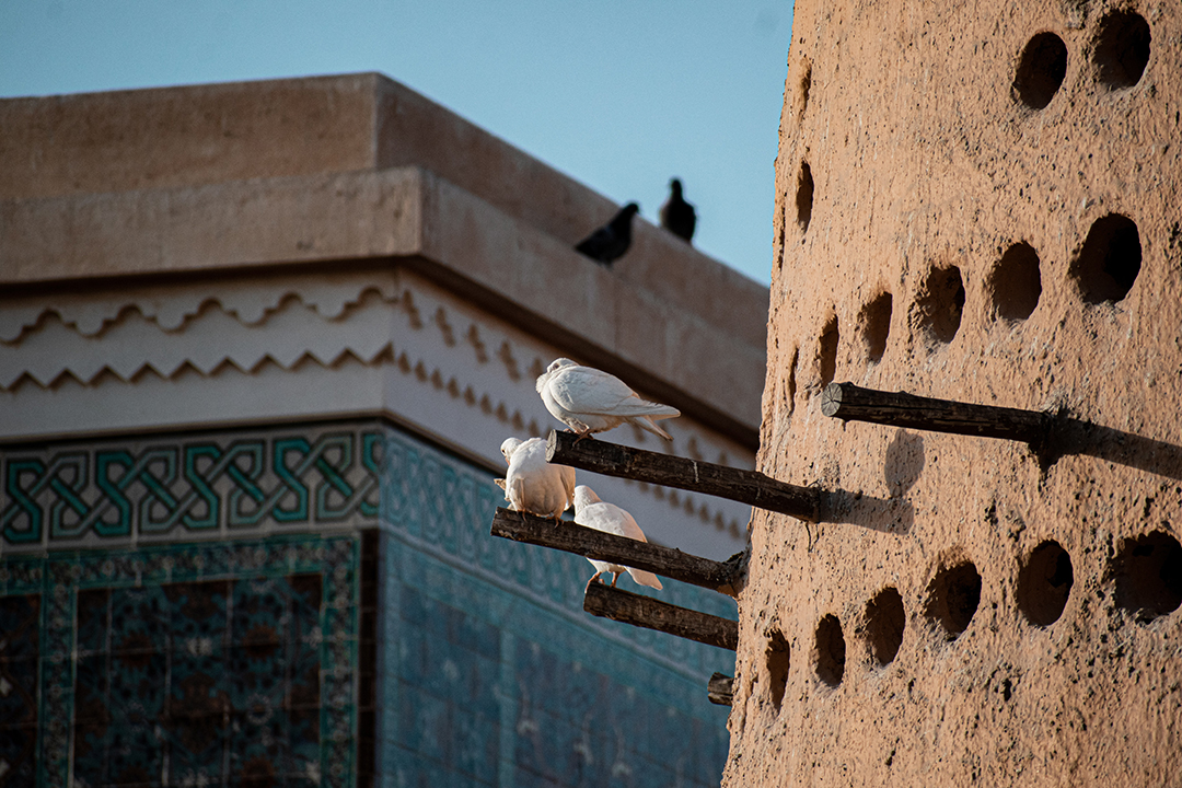 02_Znamenitosti_Katarja_-_Sights_of_Qatar_-_Photo_by_Ahmet_Kagan_Hancer_on_Unsplash.jpg
