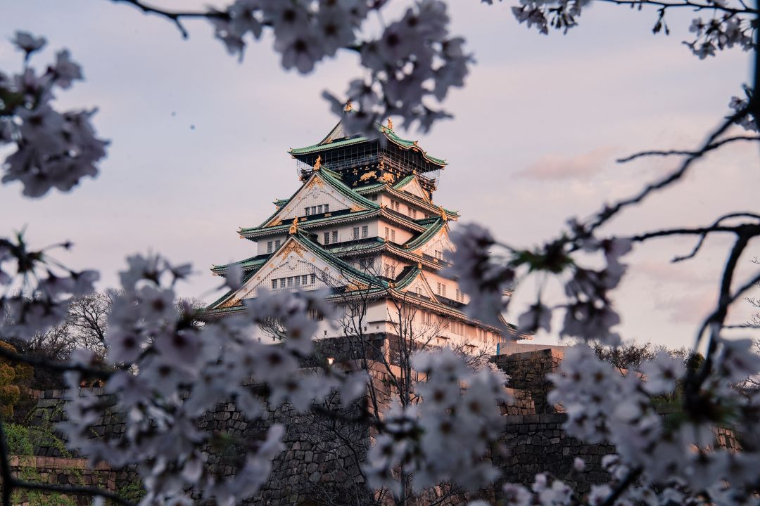 04_Popotniski_nasveti_za_Osako_-_Travel_tips_for_Osaka_-_Photo_by_Satoshi_Hirayama_from_Pexels.jpg