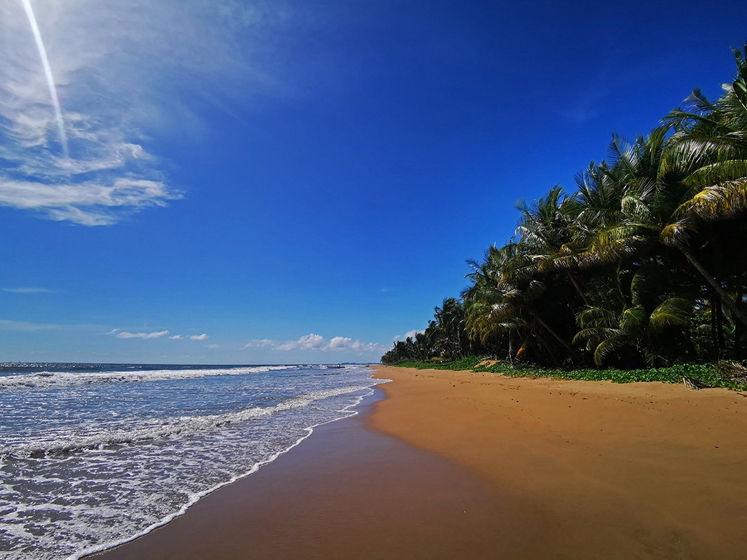 Potovanje_v_drzavo_Trinidad_in_Tobago_-_Travel_to_the_country_of_Trinidad_and_Tobago_17.jpg