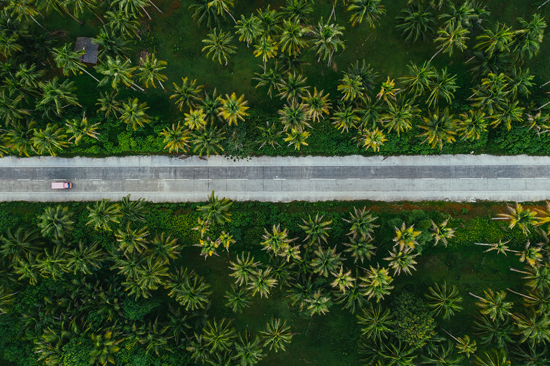 04_Potovanje_po_Filipinih_-_Traveling_in_the_Philippines_-_Envato_5.jpg