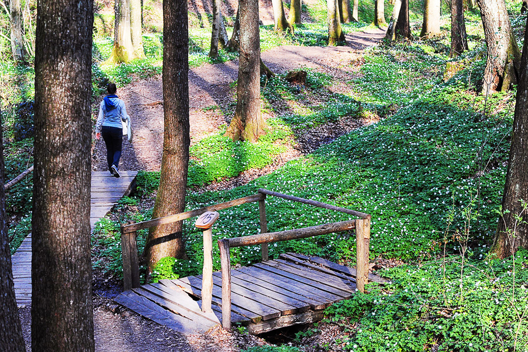 Potepanje_po_Prekmurju_-_Wandering_around_Prekmurje_11.jpg