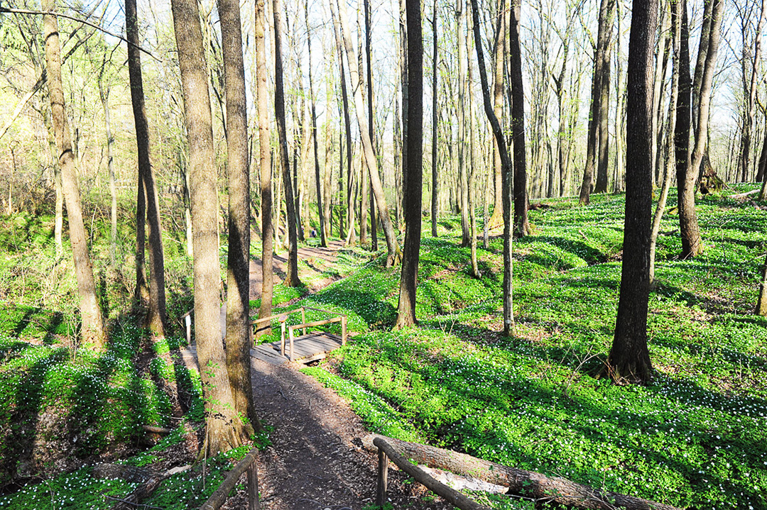 Potepanje_po_Prekmurju_-_Wandering_around_Prekmurje_12.jpg