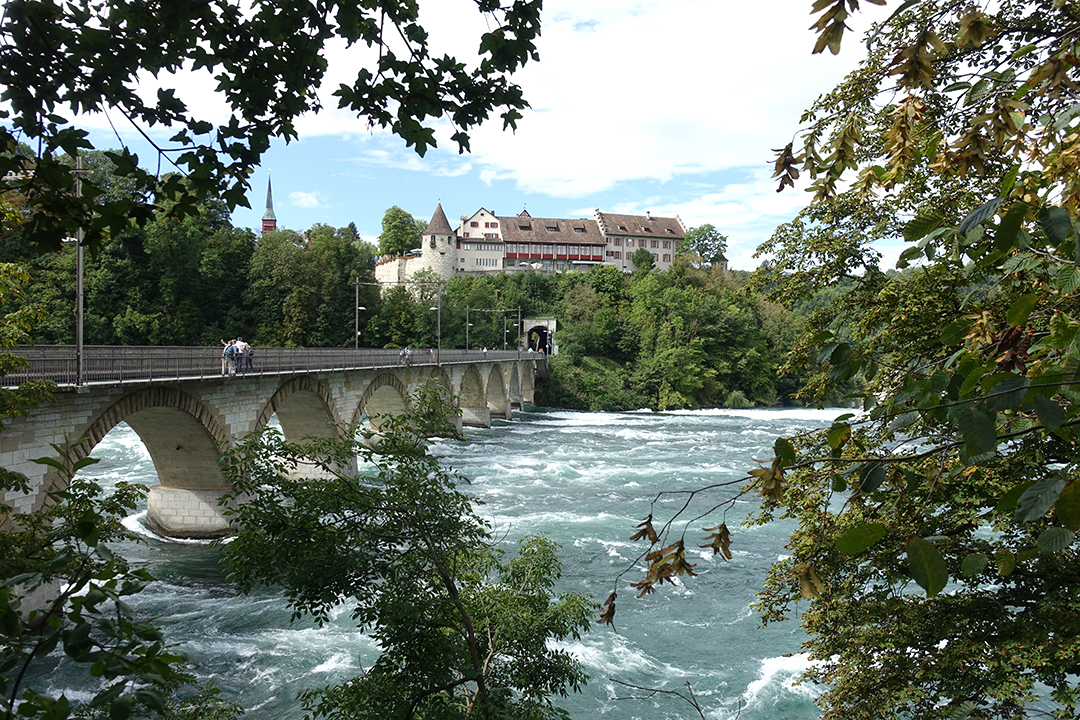 Zurich_in_njegova_okolica_-_Zurich_and_its_surroundings_7.JPG