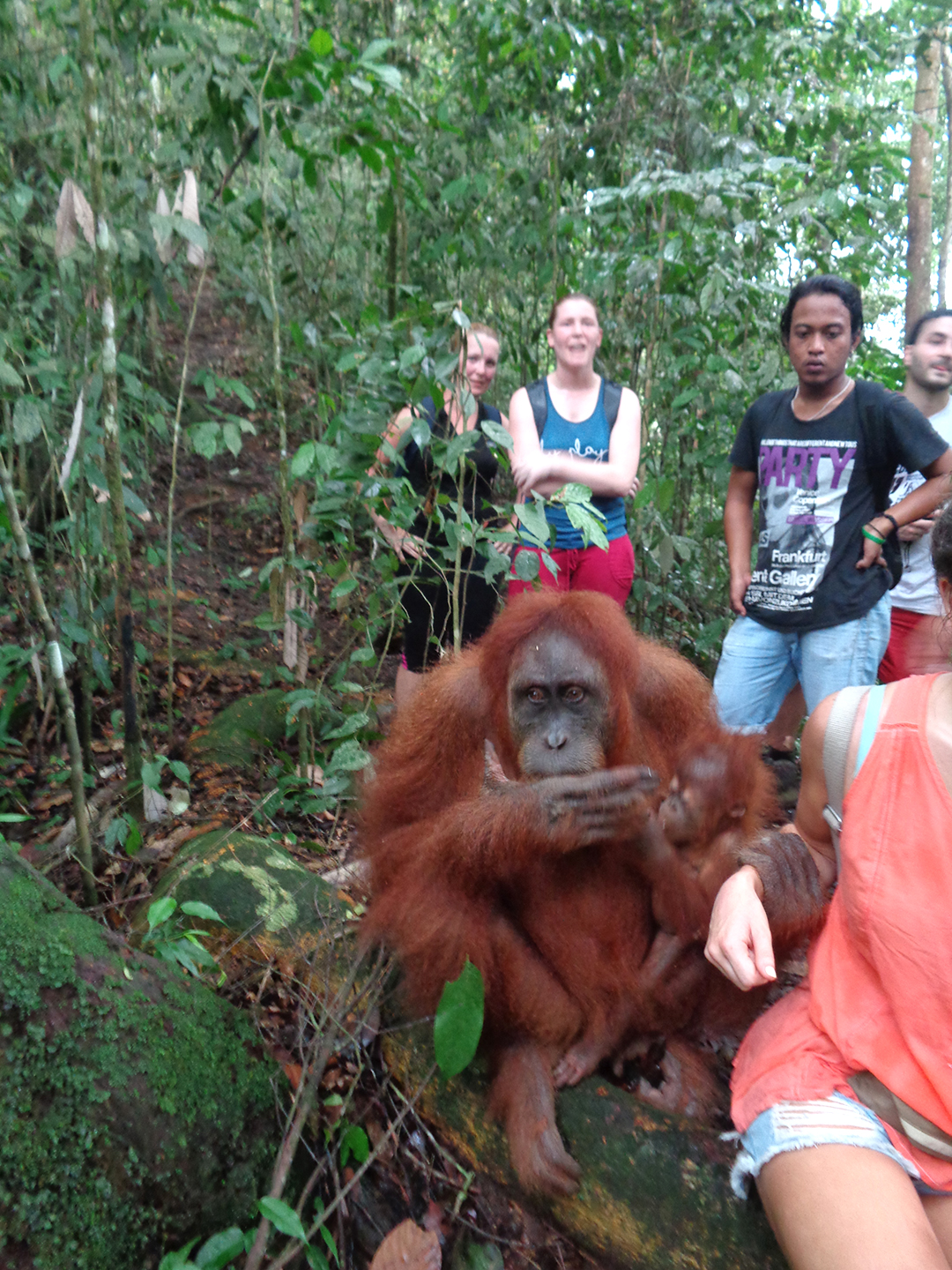 Nasveti_za_Sumatro_-_Tips_for_Sumatra_2.JPG