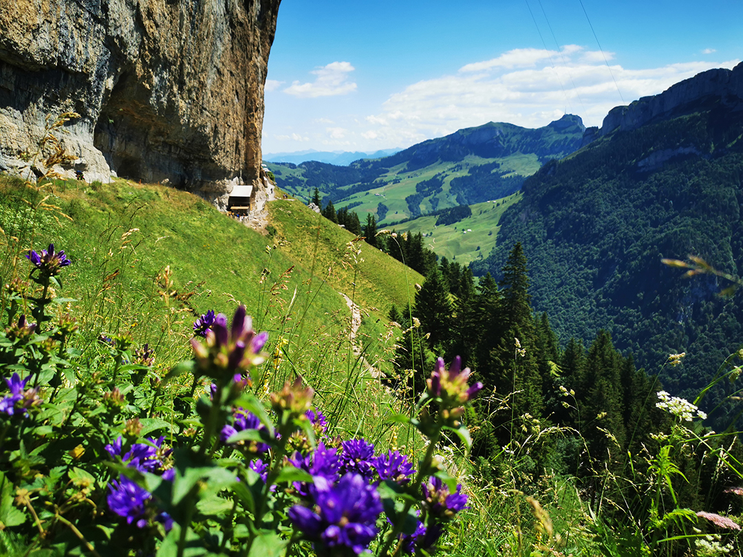 Potovanje_v_Svico_-_A_trip_to_Switzerland_13.jpg