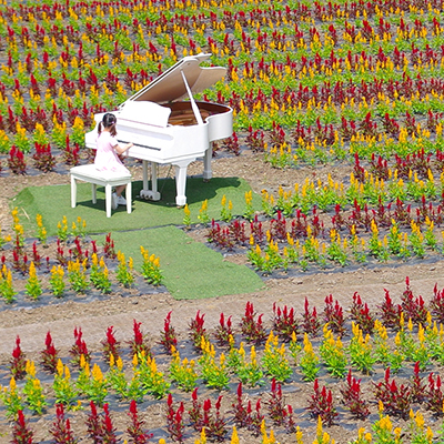 Najjuznejsi_korejski_otok_Jeju_-_The_southernmost_Korean_island_of_Jeju__400.JPG