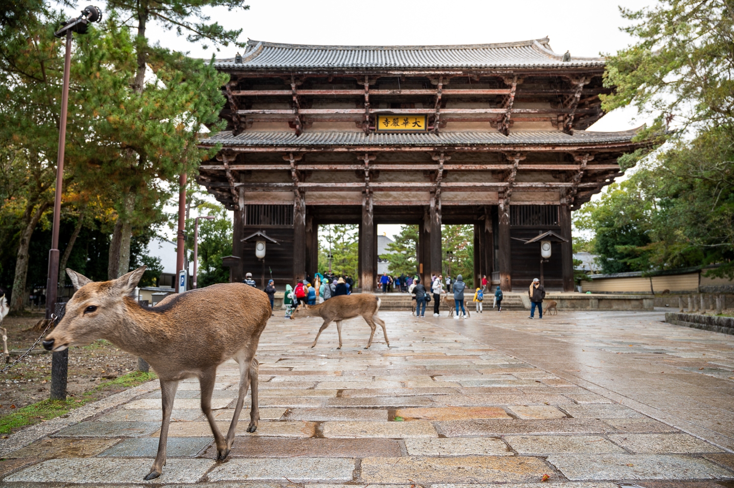 Potovanje_po_Japonski_-_Traveling_around_Japan_8.jpg