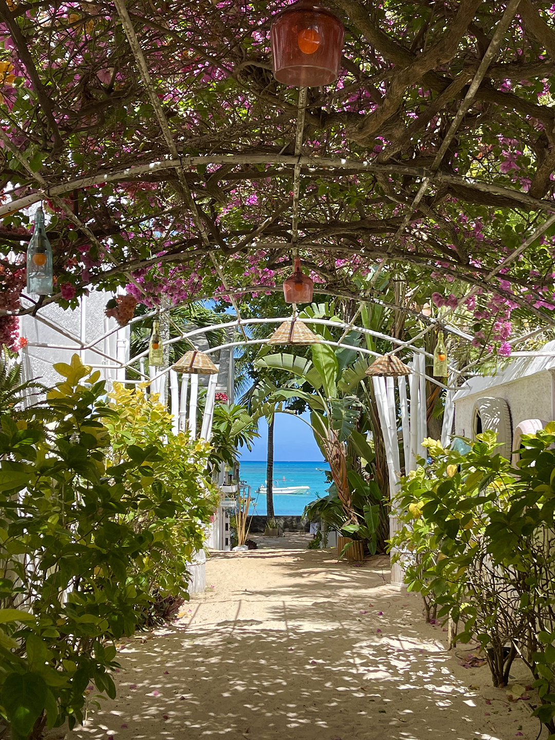 Raziskovanje_otoka_Mavricij_-_Exploring_the_island_of_Mauritius_7.jpg